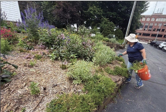 Master Gardener.1